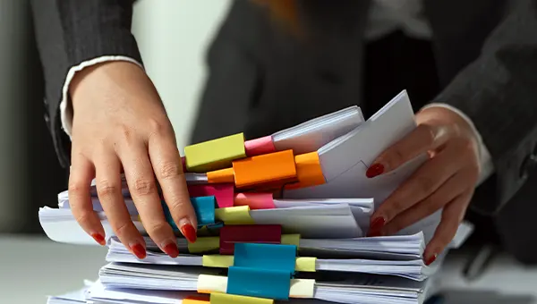 Gestión Eficiente de Recursos y Equipos Profesionales